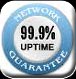 99.9% Server Uptime